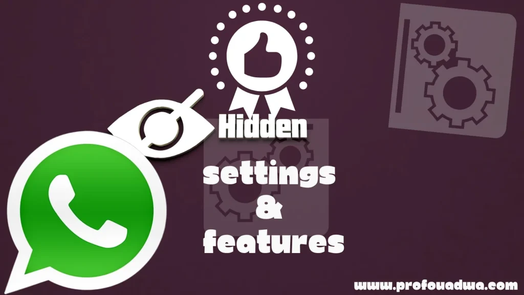 FM WhatsApp hidden settings
